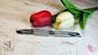 EXCLUSIVE Pro Bőrfeltoló - kaparó